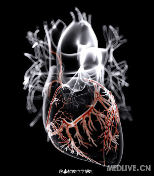 http://webres.medlive.cn/upload/000/170/394