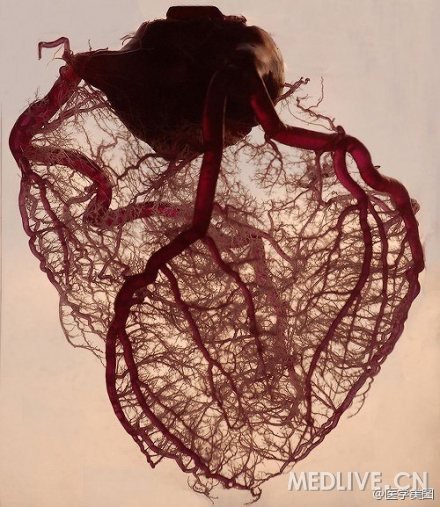 http://webres.medlive.cn/upload/000/170/395