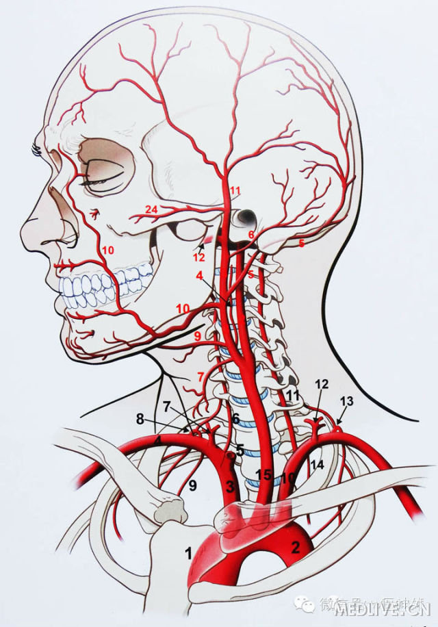 http://webres.medlive.cn/upload/000/180/672