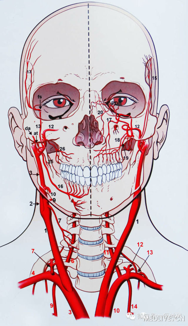 http://webres.medlive.cn/upload/000/180/673