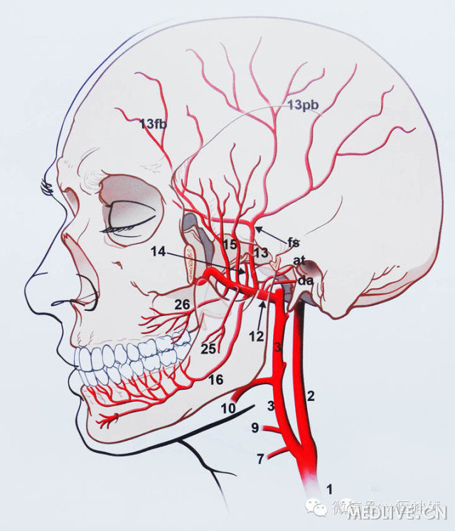 http://webres.medlive.cn/upload/000/180/677