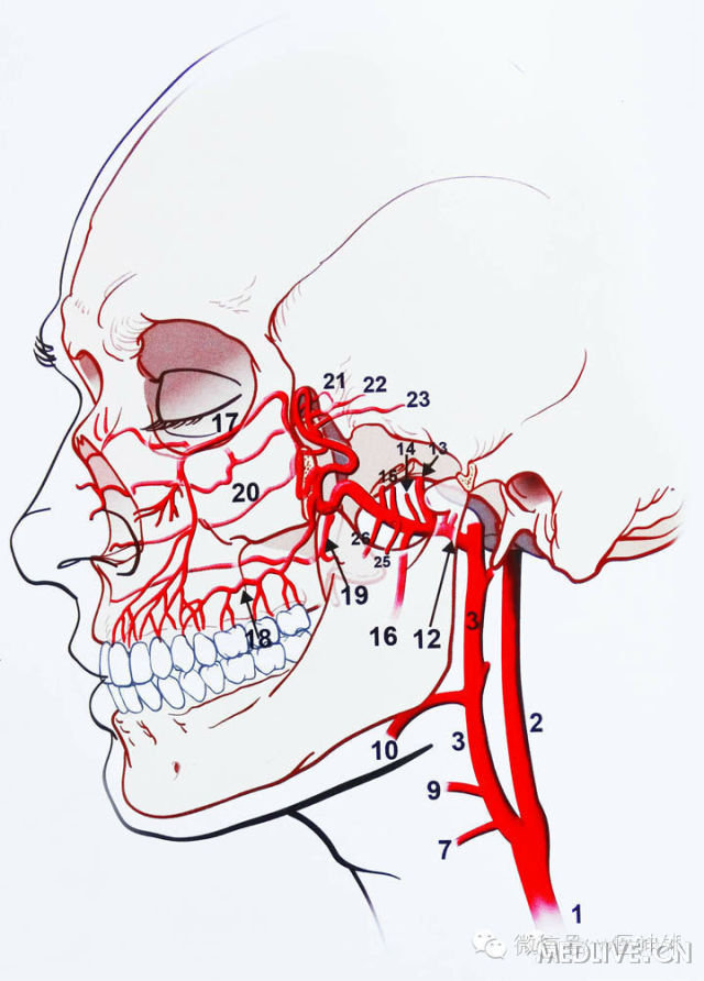 http://webres.medlive.cn/upload/000/180/679