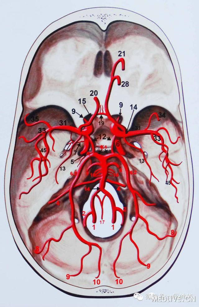 http://webres.medlive.cn/upload/000/180/685