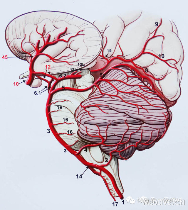 http://webres.medlive.cn/upload/000/180/686