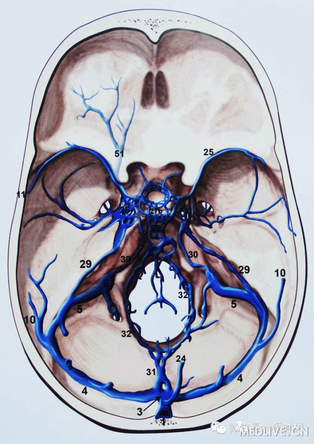 http://webres.medlive.cn/upload/000/180/688