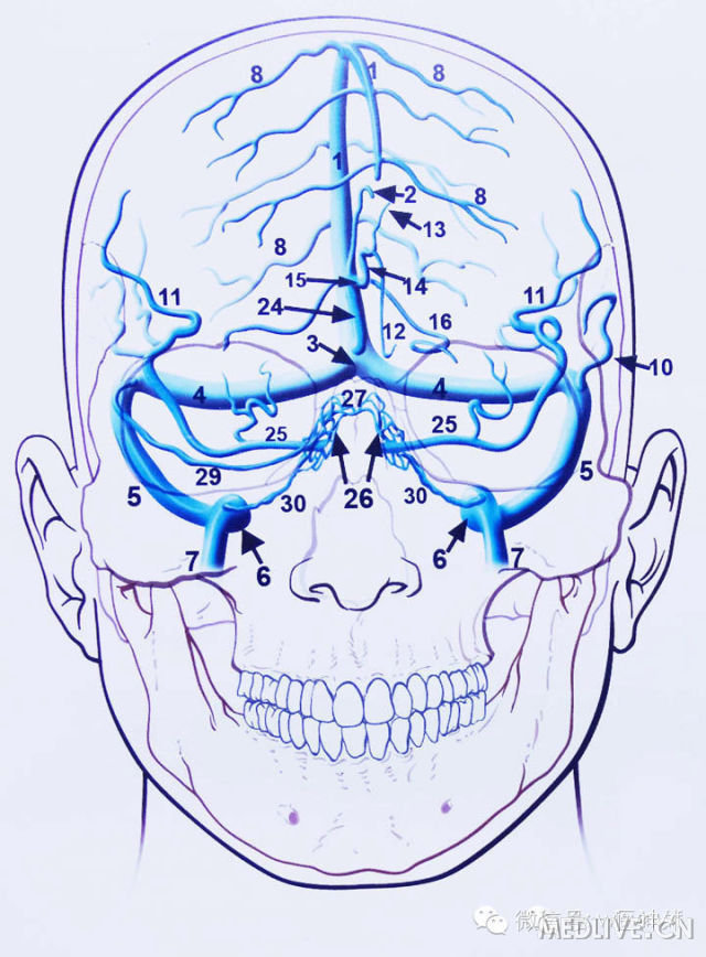 http://webres.medlive.cn/upload/000/180/690