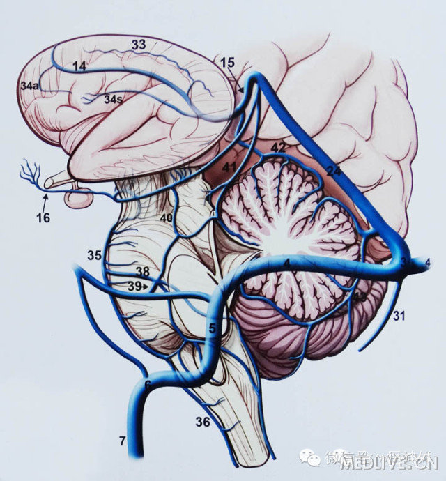 http://webres.medlive.cn/upload/000/180/691