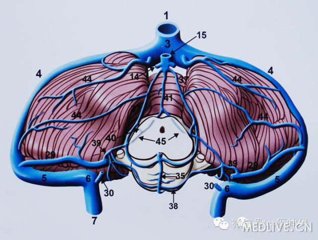 http://webres.medlive.cn/upload/000/180/692