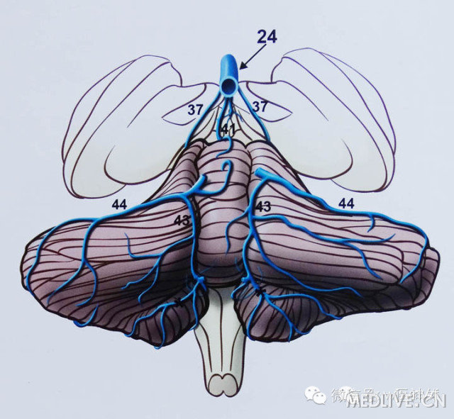 http://webres.medlive.cn/upload/000/180/693