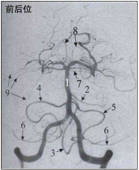 http://webres.medlive.cn/upload/000/202/901