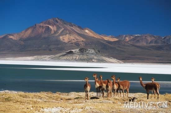 http://webres.medlive.cn/upload/000/206/034