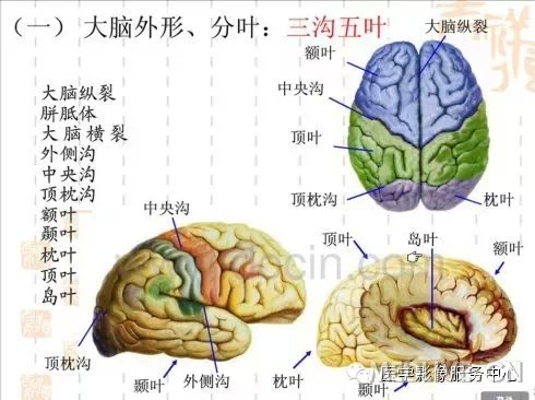 http://webres.medlive.cn/upload/000/217/329