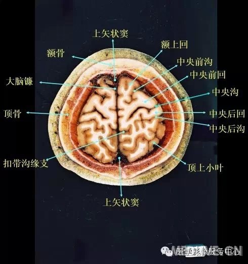 http://webres.medlive.cn/upload/000/217/334
