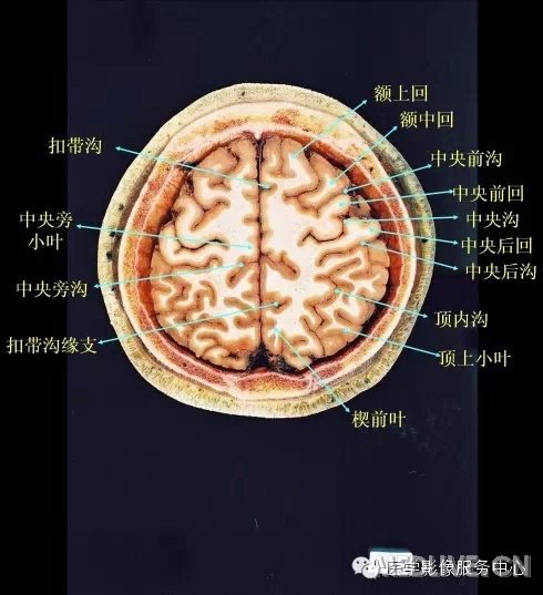 http://webres.medlive.cn/upload/000/217/335