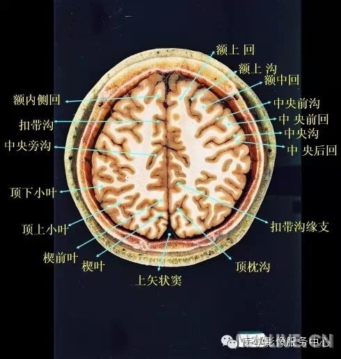 http://webres.medlive.cn/upload/000/217/336