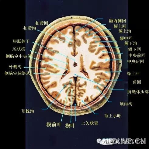 http://webres.medlive.cn/upload/000/217/341