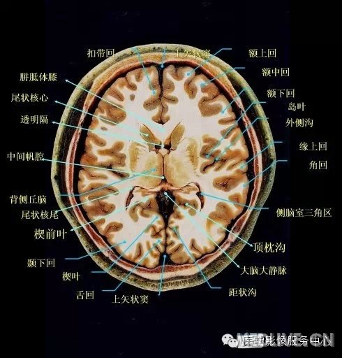 http://webres.medlive.cn/upload/000/217/342