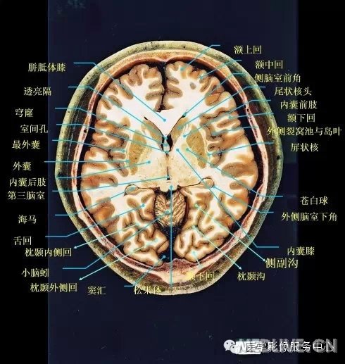 http://webres.medlive.cn/upload/000/217/343