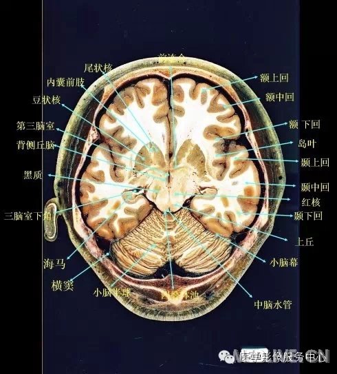 http://webres.medlive.cn/upload/000/217/344