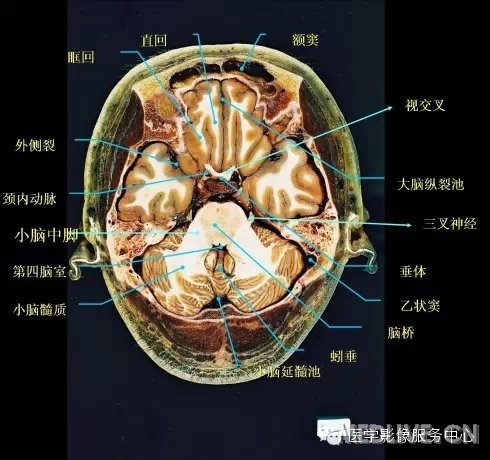 http://webres.medlive.cn/upload/000/217/354