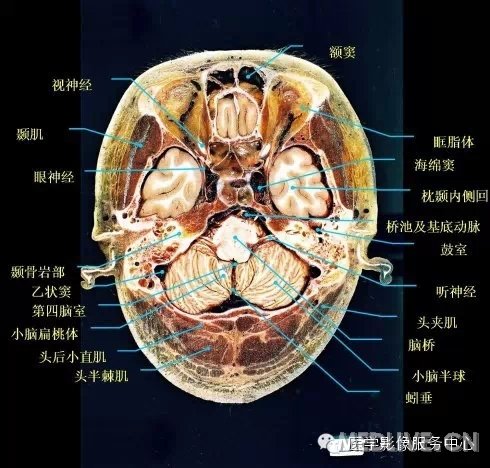 http://webres.medlive.cn/upload/000/217/355