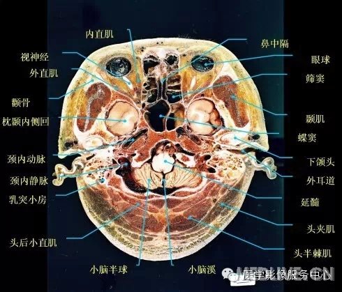 http://webres.medlive.cn/upload/000/217/356