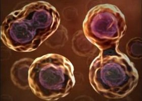 Cancer cell：儿童脑瘤治疗的新靶点