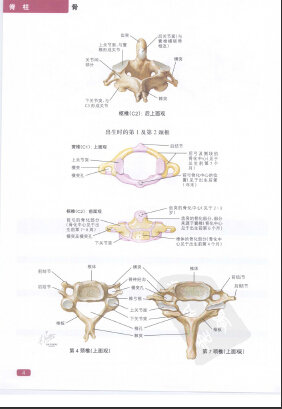 http://webres.medlive.cn/upload/000/320/632