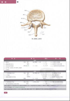 http://webres.medlive.cn/upload/000/320/634