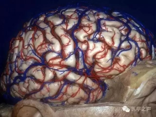 http://webres.medlive.cn/upload/000/321/941