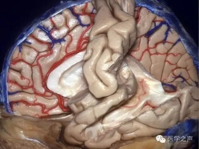 http://webres.medlive.cn/upload/000/321/943