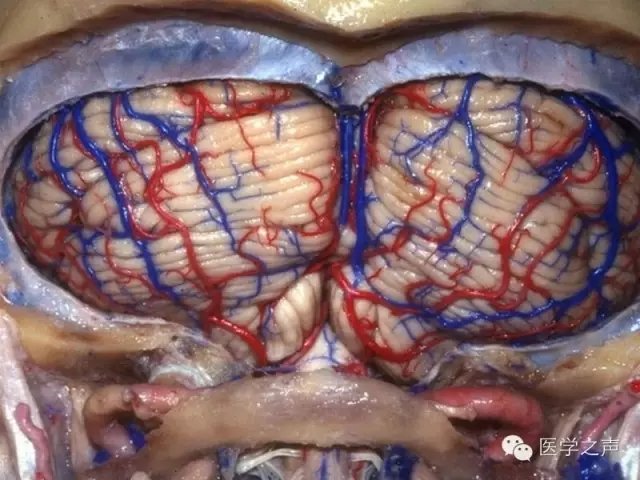 http://webres.medlive.cn/upload/000/321/945