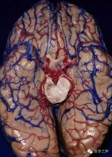 http://webres.medlive.cn/upload/000/321/946
