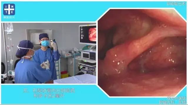 http://webres.medlive.cn/upload/000/325/733