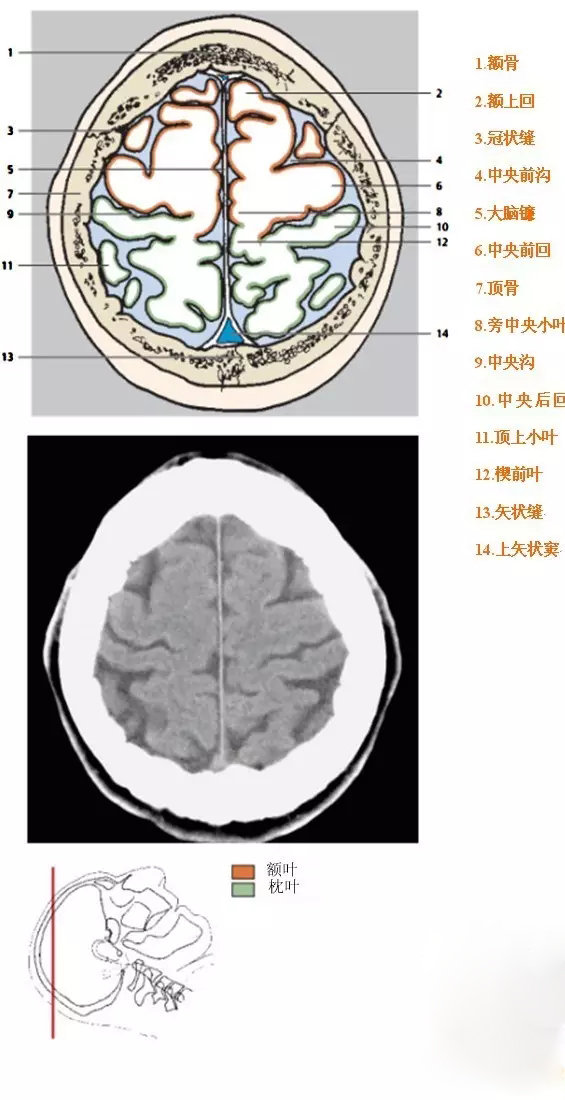 http://webres.medlive.cn/upload/000/333/908