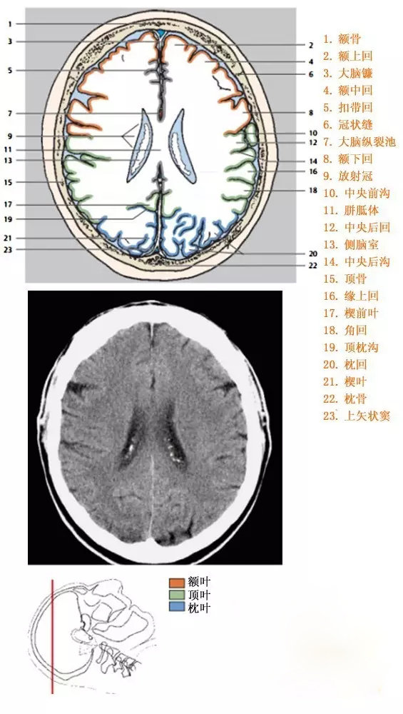 http://webres.medlive.cn/upload/000/333/909