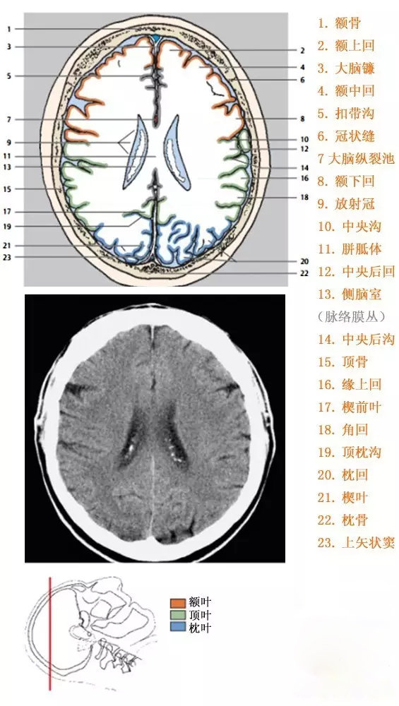 http://webres.medlive.cn/upload/000/333/910
