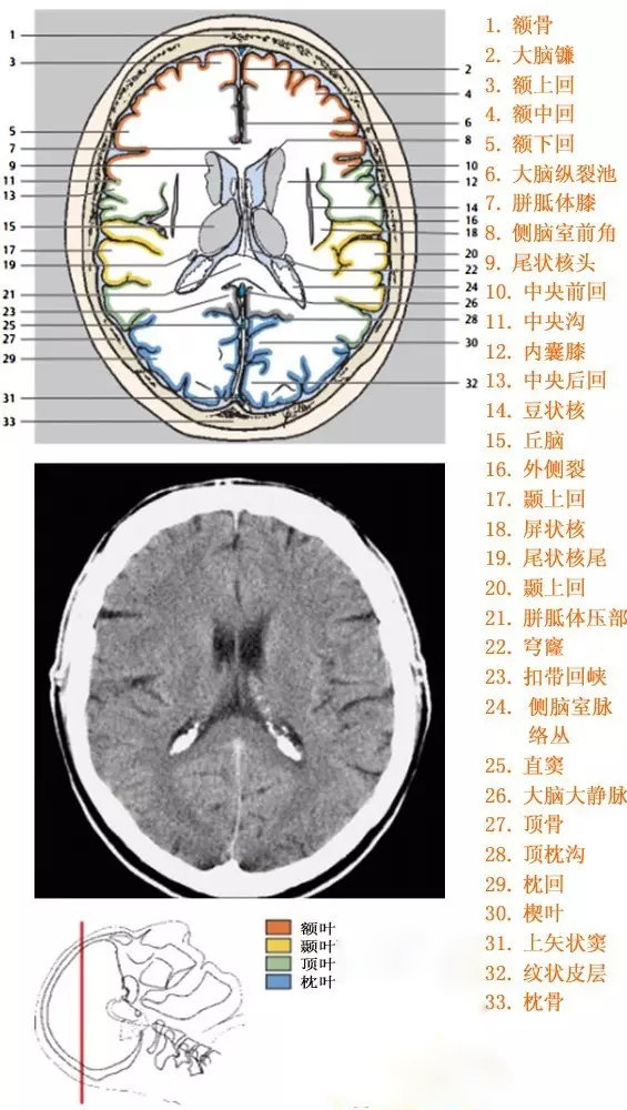 http://webres.medlive.cn/upload/000/333/911