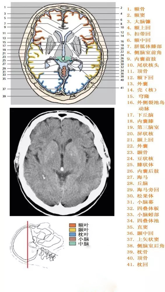 http://webres.medlive.cn/upload/000/333/913