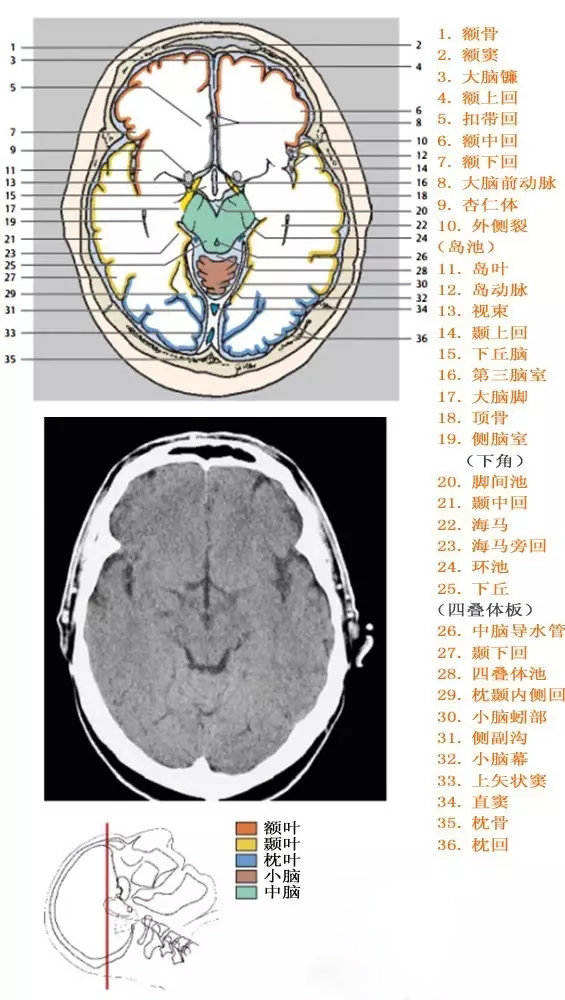http://webres.medlive.cn/upload/000/333/914