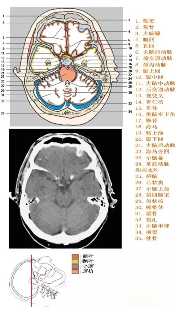 http://webres.medlive.cn/upload/000/333/916