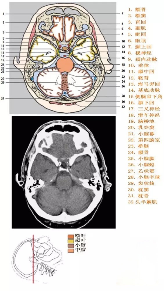 http://webres.medlive.cn/upload/000/333/917