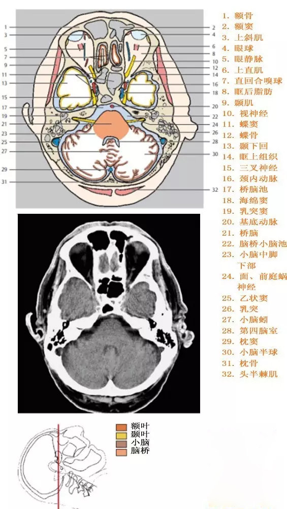 http://webres.medlive.cn/upload/000/333/918
