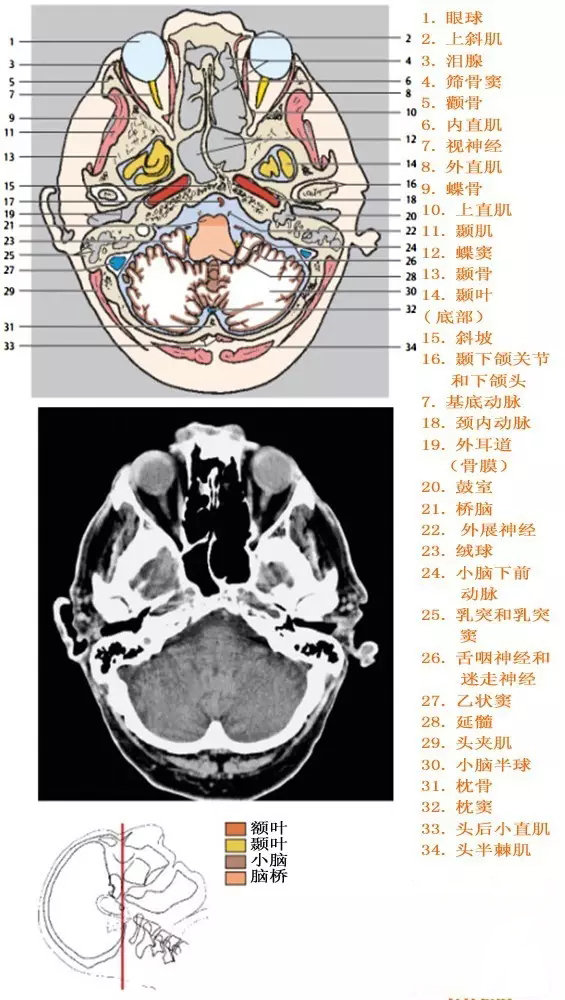 http://webres.medlive.cn/upload/000/333/919