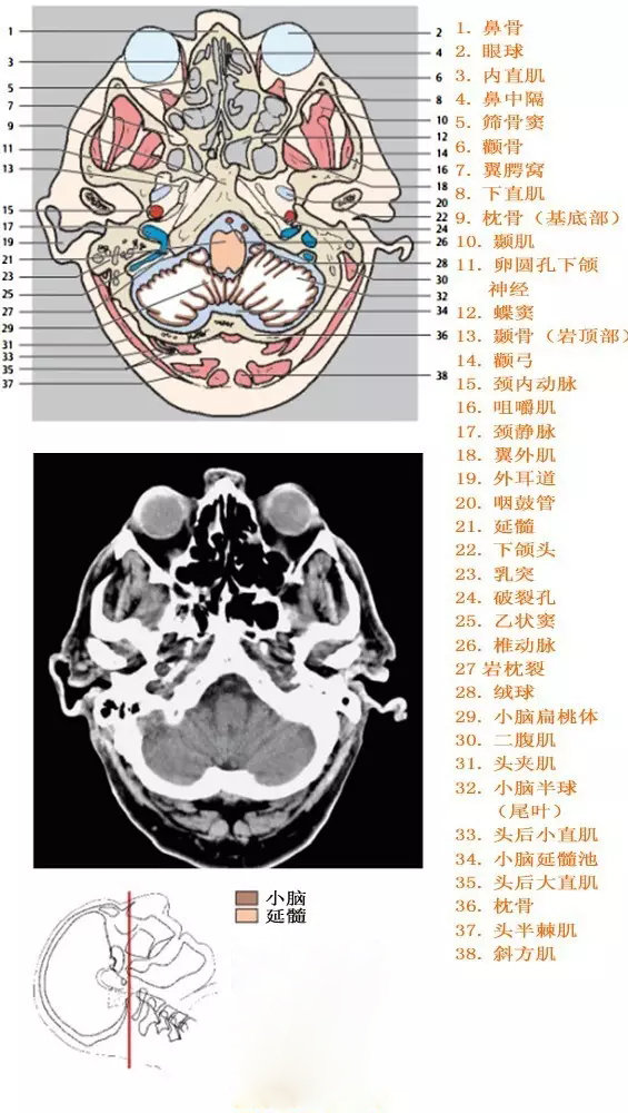 http://webres.medlive.cn/upload/000/333/920