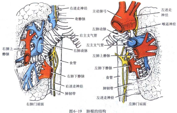 http://webres.medlive.cn/upload/000/508/575