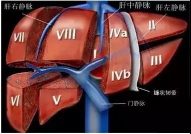 http://webres.medlive.cn/upload/000/516/228