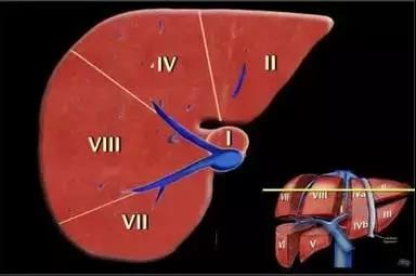 http://webres.medlive.cn/upload/000/516/232