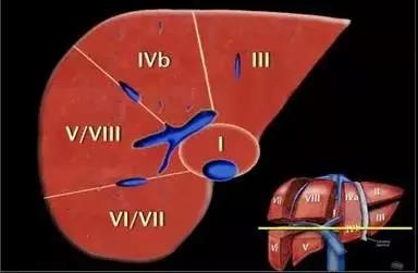 http://webres.medlive.cn/upload/000/516/235