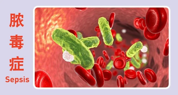 http://webres.medlive.cn/upload/001/390/121
